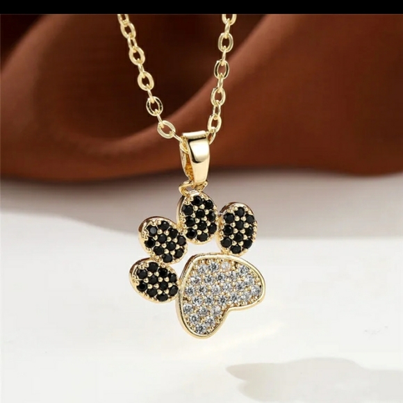 Heart Paw Print Zircoin Pendant Necklace - Picture 2 of 6